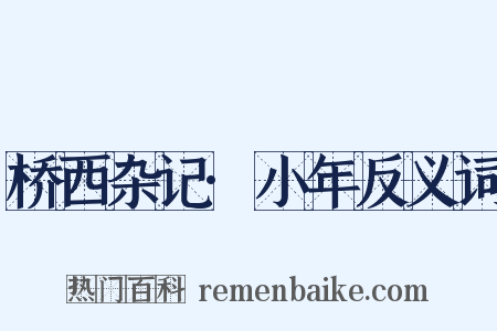 桥西杂记·小年反义词是什么意思的图片